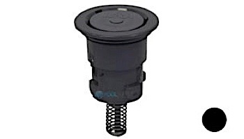 Pentair In-Floor formerly A&A Manufacturing Paramount Pool Valet PVR 9/16" Retro Internal | White | 567496 236631