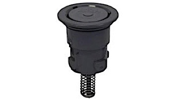 Pentair In-Floor formerly A&A Manufacturing Paramount Pool Valet PVR 1/4" Retro Internal | Black | 567533 230734