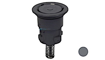 Pentair In-Floor formerly A&A Manufacturing Paramount Pool Valet PVR 1/4" Retro Internal | Gray | 567541 236033