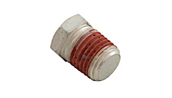 Pentair .25" NPT Hex Head Pipe Plug | U78-941ZPV