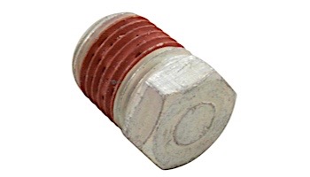 Pentair .25" NPT Hex Head Pipe Plug | U78-941ZPV