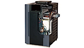 Raypak Analog ASME Certified Propane Gas Pool Heater 200K BTU | Millivolt Standing Pilot | C-R206A-MP-C #59 3000-5000 Ft | 009260