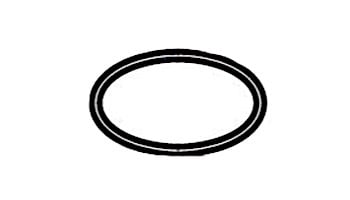 Zodiac Jandy Outlet Tube O-Ring, Filter | R0792000