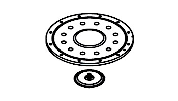 Waterco MC12 Manifold Plate Assembly | 61318
