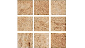 National Pool Tile Aztec 2x2 Series | Barley | AZ203