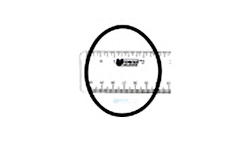 Zodiac Nature2 Professional G Inlet/Outlet O-Ring | W13035