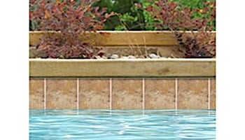 National Pool Tile Aztec 6x6 Series | Barley | AZ603