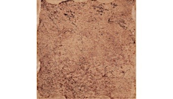 National Pool Tile Tibet Series | Cotto 6x6 | TBCOTTO