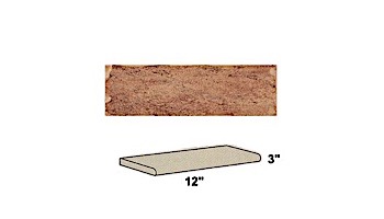 National Pool Tile Tibet Series | Cotto 3x12 | TBCOTTO SBN