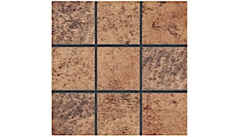 National Pool Tile Tibet Series | Cotto 2x2 | TBCOTTO22