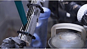 Powerclean Salt Extended Life Replacement Cell Electrode Only | For Up To 40,000 Gallons | 52000-240-160