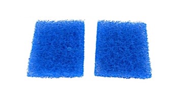 Hayward Door Filter Element | Set of 2 | RCX97417SPAK2