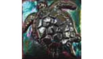 National Pool Tile 4x4 Oceanscapes Collection Deco Turtle | Tourmaline | OCN-TLTURTLE