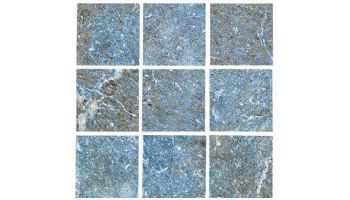 National Pool Tile Safari 2x2 Series | Multicolor | SFR-MULTI2X2
