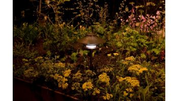 FX Luminaire DR PathLight | 18" Riser 2 Tier | 10W G4 Xenon | Black Finish | DR-10-2T-18R-FB