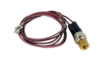 Raypak Low Pressure Switch | H000078