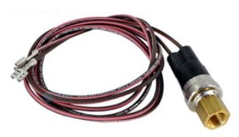 Raypak Low Pressure Switch | H000078