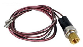 Raypak Low Pressure Switch | H000078