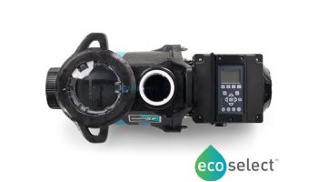 Sta-Rite IntelliProXF Variable Speed Pump | Energy Efficient | 3HP 230V | 023055