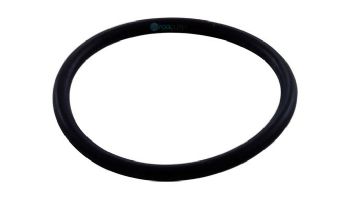 Polaris WMS Upper O-Ring | R0544000