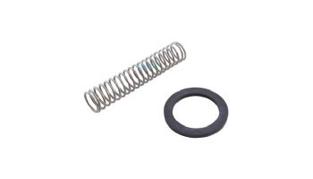 Zodiac Jandy By-pass Valve Spring | R0304500