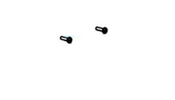 Aqua Products Screw S35 | Stainless Steel | AP2261