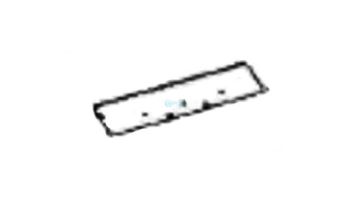 Aqua Products Bottom Housing Valve LTCG | APPP00381IV