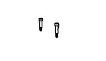 Aqua Products Screw Plastic Size S36 LTCG | 2 per Pack | AP2692