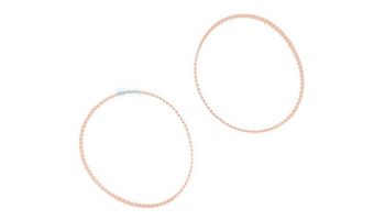 Aqua Products Drive Belt Small | 2 per Pakch | APA3302PK