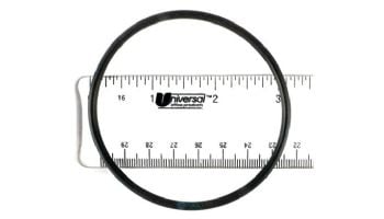 Waterway Filter Handle O-Ring | 805-0233