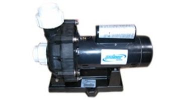 Pulsar Booster Pump | 1 HP | 115/230V/60Hz | 79214