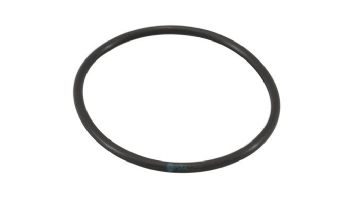 Jandy TrueClear O-Ring | R0694100