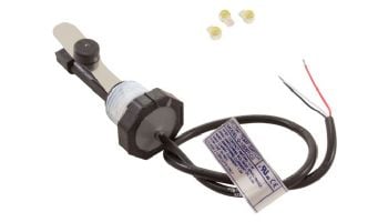 Pentair Kit Flow Switch Replacement | 523100