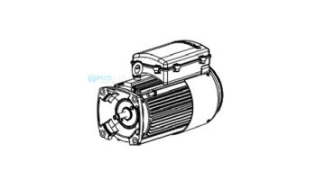 Hayward 3HP Motor | 208-230/460V Three Phase | HCXP3030Z1D