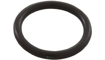 Waterco O-Ring | 621450