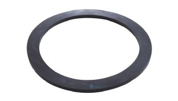 Waterco 2" Bulkhead Gasket | W02080