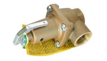 Raypak PRV 30 PSI | 007218F