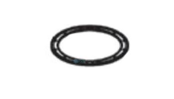 Raypak Flue Exhaust Tee Seal Gasket | 009736F