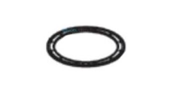 Raypak Flue Exhaust Adapter Seal Gasket | 009739F