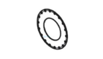 Raypak Flue Exhaust Adapter Seal Gasket | 009739F