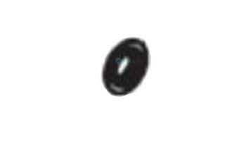 Raypak Gas Manifold Grommet 1 1/4" NPT | 010779F