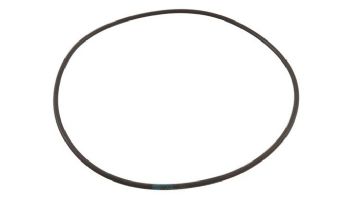 Waterco O-Ring for Clamp Style Valve | 620269