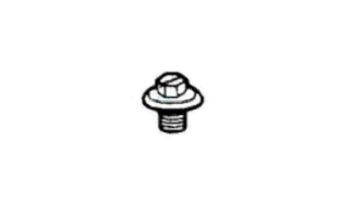 Hayward Cover Retaining Screw | CLX200G