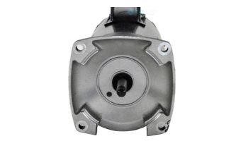 Waterway SVL56E-120 Motor | 3510850