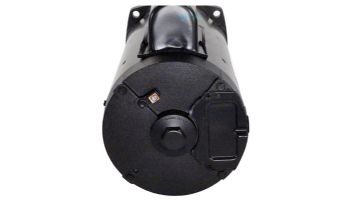 Waterway SVL56E-120 Motor | 3510850