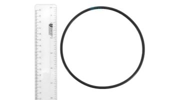 Pentair Boost-Rite O-Ring Kit | ZBR12200