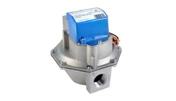 Raypak 1" Natural Gas Combination Valve | 600631