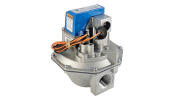 Raypak 1" Natural Gas Combination Valve | 600631