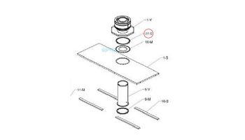 Raypak Flue Exhaust Gasket Retainer | 010030F