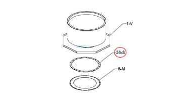 Raypak Flue Exhaust Gasket Retainer | 010032F